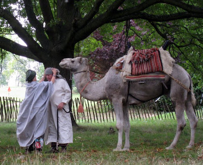 Camel at Secret Cinema London with a Bedouin theme