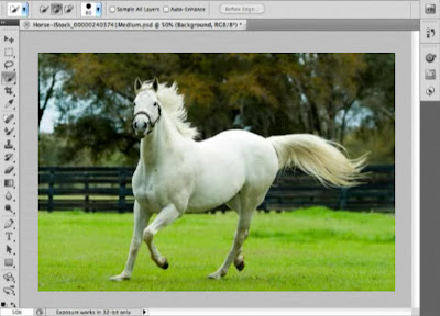 Content-Aware Photoshop CS5, Stalin Style 1