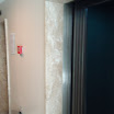 DSC00215.JPG