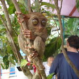 Bohol_Panglao_Island