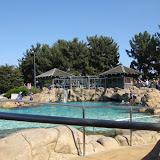 SeaWorld