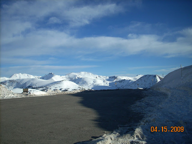 DSCN0781.jpg