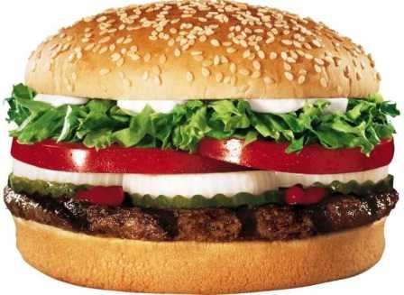 [whopper[4].jpg]
