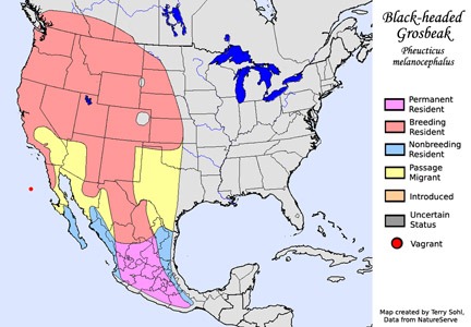 [black_headed_grosbeak_map_small[2].jpg]