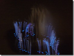 P1010911