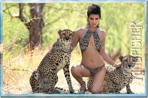 Kingfisher Calendar 2011 Download Swim Suit Girls Kingfisher Calendar 2011 Download Swim Suit Girls