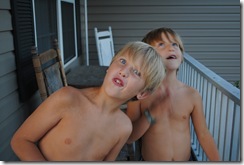 DSC_0020 DSC_0020