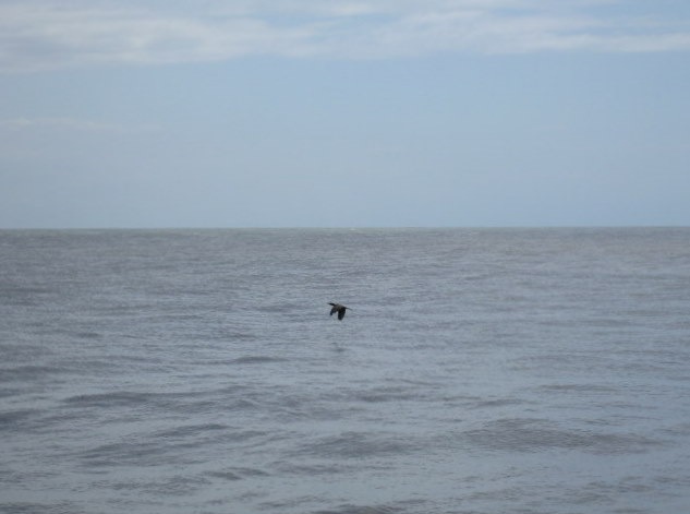 [IMG_2123.jpg]