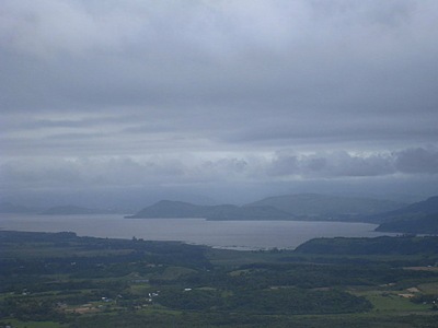 IMG_2236 IMG_2236