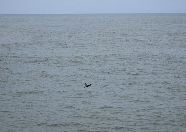 [IMG_2131.jpg]