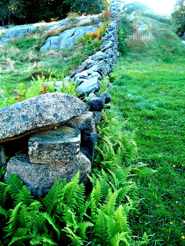 [rockwall[7].jpg]
