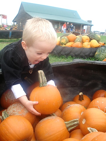 [pumpkinseven[4].jpg]