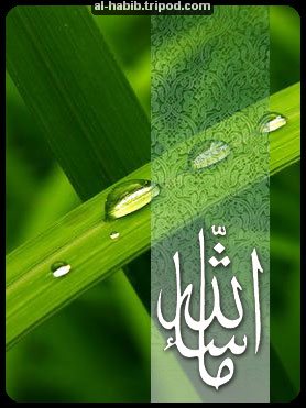 Islamic Greeting Card by Alhabib