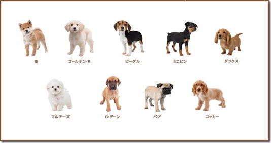 Nintendogs Cats Quel Caract Ef Bf Bdre Nintendogs Cats Quel Caract Ef Bf Bdre