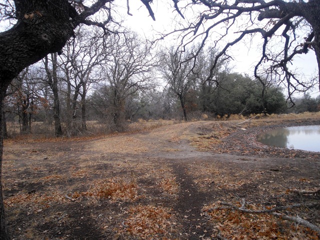 [CIMG82803.jpg]