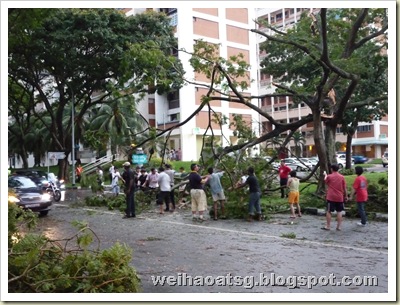 Residents helping to clear fallen branches