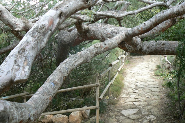 [P11509893.jpg]