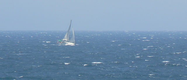 [velero con fuerte viento[3].jpg]
