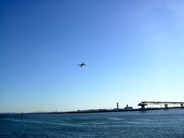 http://lh6.ggpht.com/_EOFarVdN9qU/SYViH0KFIQI/AAAAAAAACYU/YsGYVdf9a6w/s800/P1310462.jpg