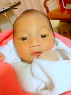 http://lh6.ggpht.com/_EOFarVdN9qU/Sa5zmwocEaI/AAAAAAAACjY/QuTox2PGoZM/s800/D1010167.JPG