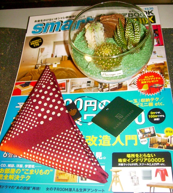 http://lh6.ggpht.com/_EOFarVdN9qU/SktWrU9RvxI/AAAAAAAADxc/Nf0TGoeg_lo/s800/P6250558.jpg