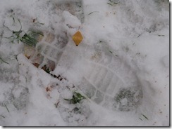 IMG_8861 IMG_8861