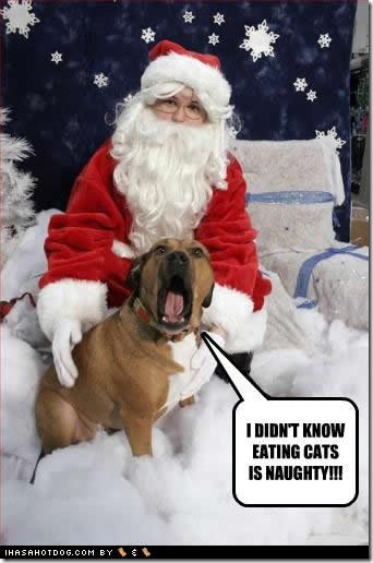 funny-dog-pictures-eating-naughty