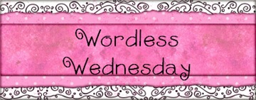 Wordless Wednesday