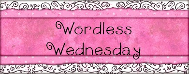 [Wordless Wednesday[3].jpg]