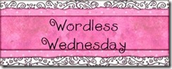 Wordless_Wednesday_thumb[1]