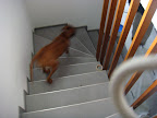 DSC02244.JPG
