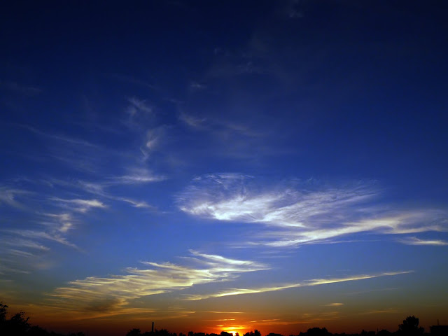 P1000332_filtered.jpg