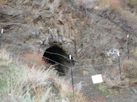 PA310729.JPG Photo