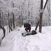 IMG_7584.jpg