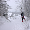IMG_7565.jpg