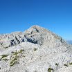DSCN3556.JPG