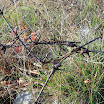 DSCN3772.JPG