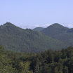 IMG_3631.jpg