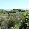 DSCF5176.JPG