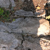 DSCN4199.JPG
