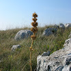 DSCN4190.JPG