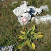 DSCN4192.JPG