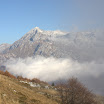 IMG_3688.jpg