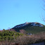 Snežnik