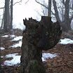 DSC_1835.jpg