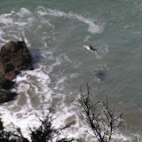 Surfer2.JPG