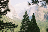0510225_0510225-R1-038-17A.jpg