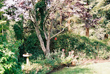 0510225_0510225-R1-048-22A.jpg