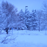 PC290106.JPG
