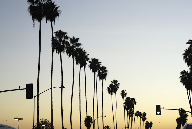 20081210_0202_lapalms.jpg